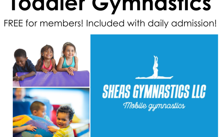 TODDLER GYMNASTICS